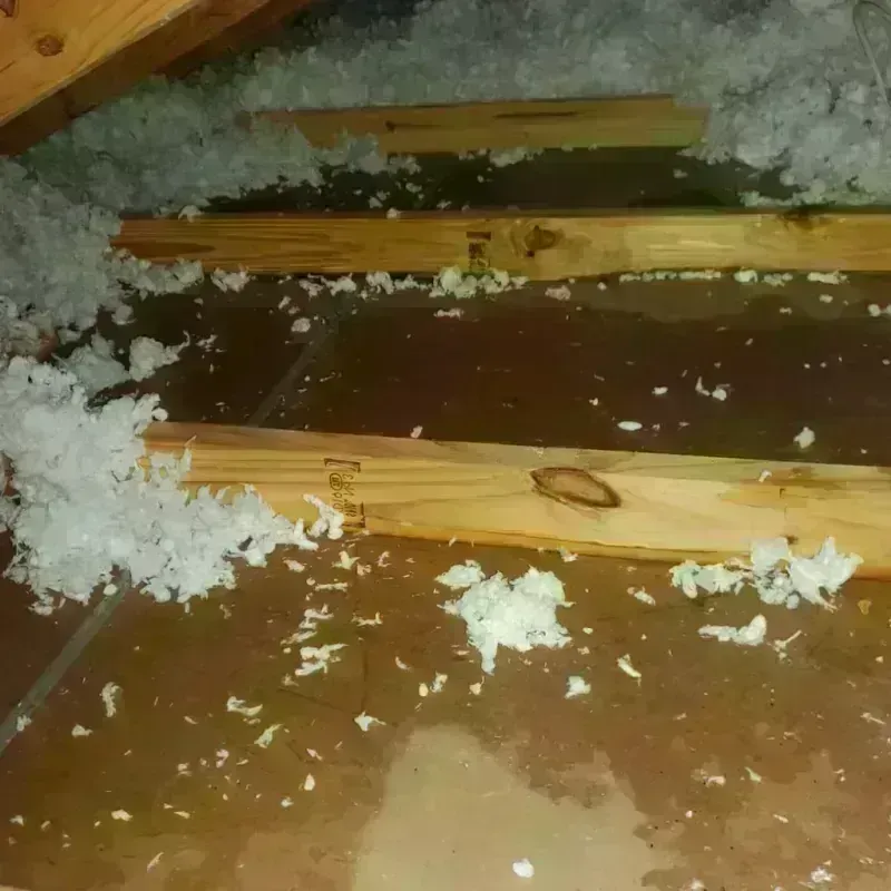 Attic Water Damage in Oakridge, OR