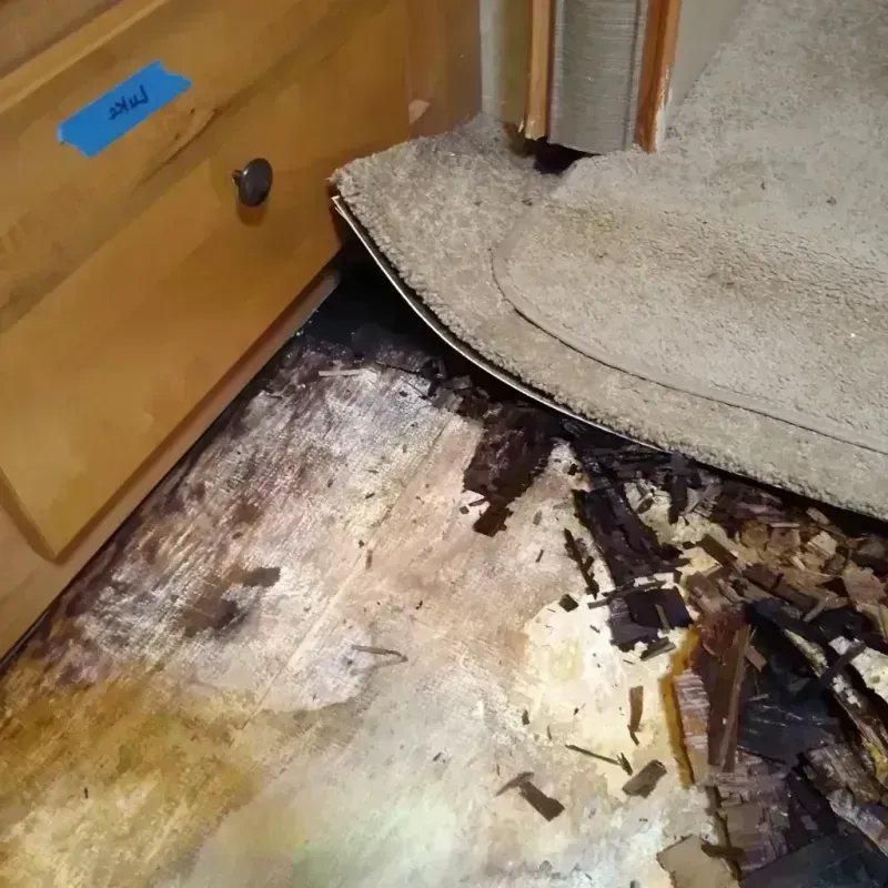 Wood Floor Water Damage in Oakridge, OR